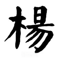 图4 杨(颜真卿楷书)